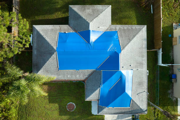 Best Metal Roofing Installation  in Fort Recovery, OH